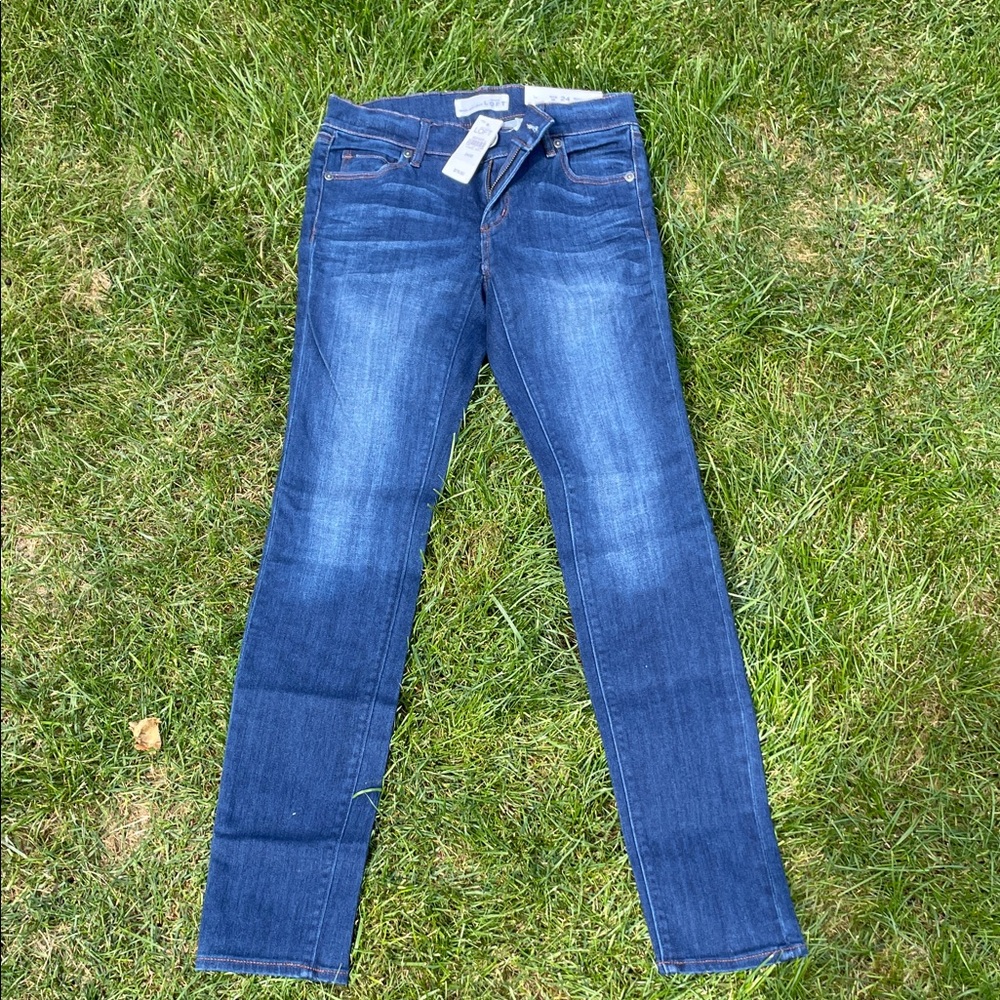 LOFT Blue Skinny Jeans
